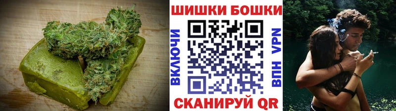 Купить  Шатура  Canna-Cookies конопля 