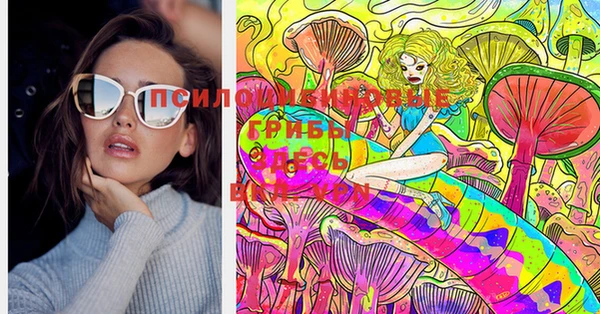 СК Верхний Тагил