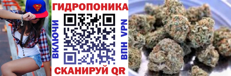 Каннабис Bruce Banner Шатура